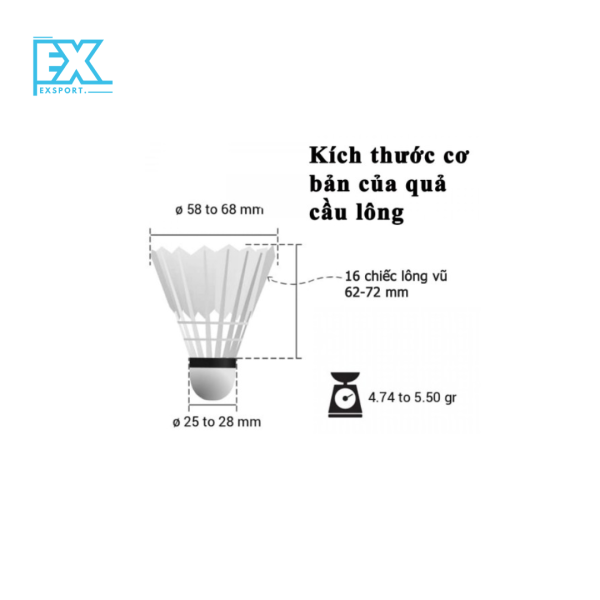 QUẢ CẦU LÔNG EXSPORT - Hình ảnh 3