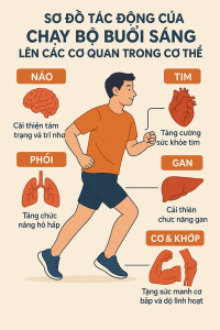 loi-ich-cua-viec-chay-bo-moi-sang