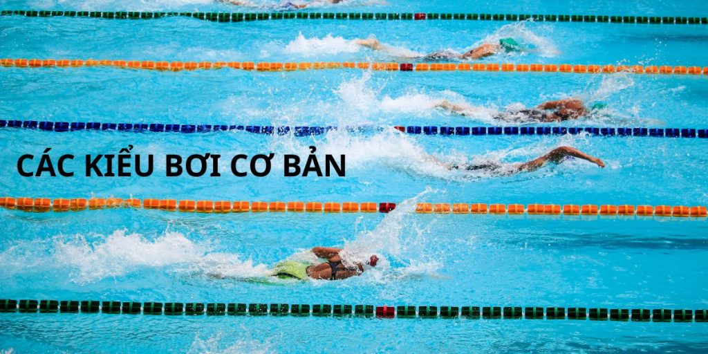 Các kiểu bơi cơ bản