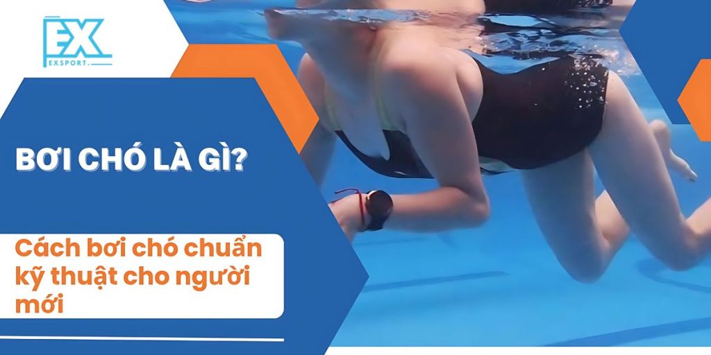 Bơi chó là gì?