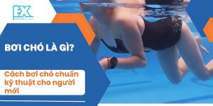 Bơi chó là gì?