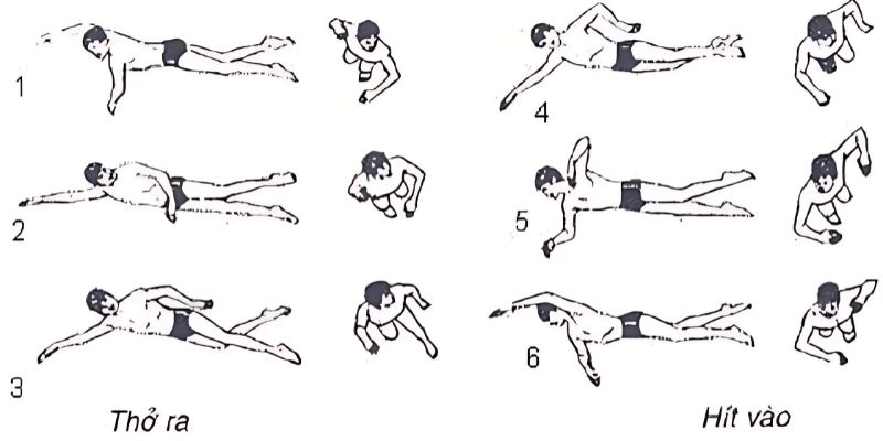 Kỹ thuật đập tay bơi sải đúng cách