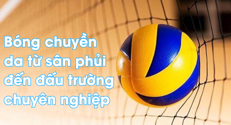 Cẩm nang bóng chuyền da