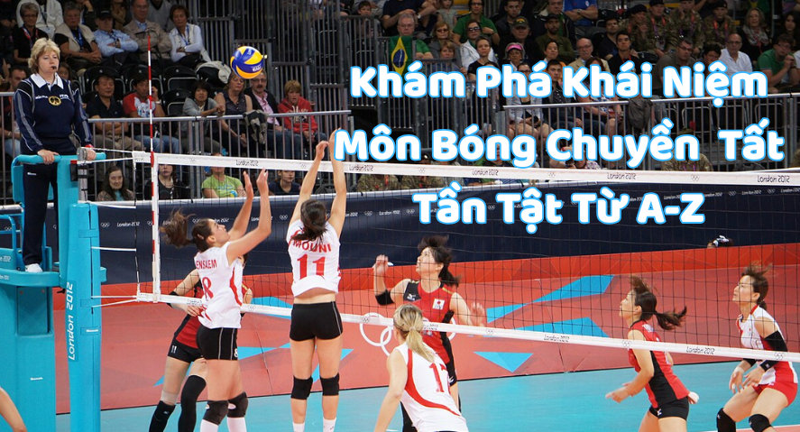 Khái niệm môn bóng chuyền