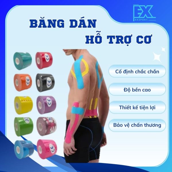 bang-dan-ho-tro-co